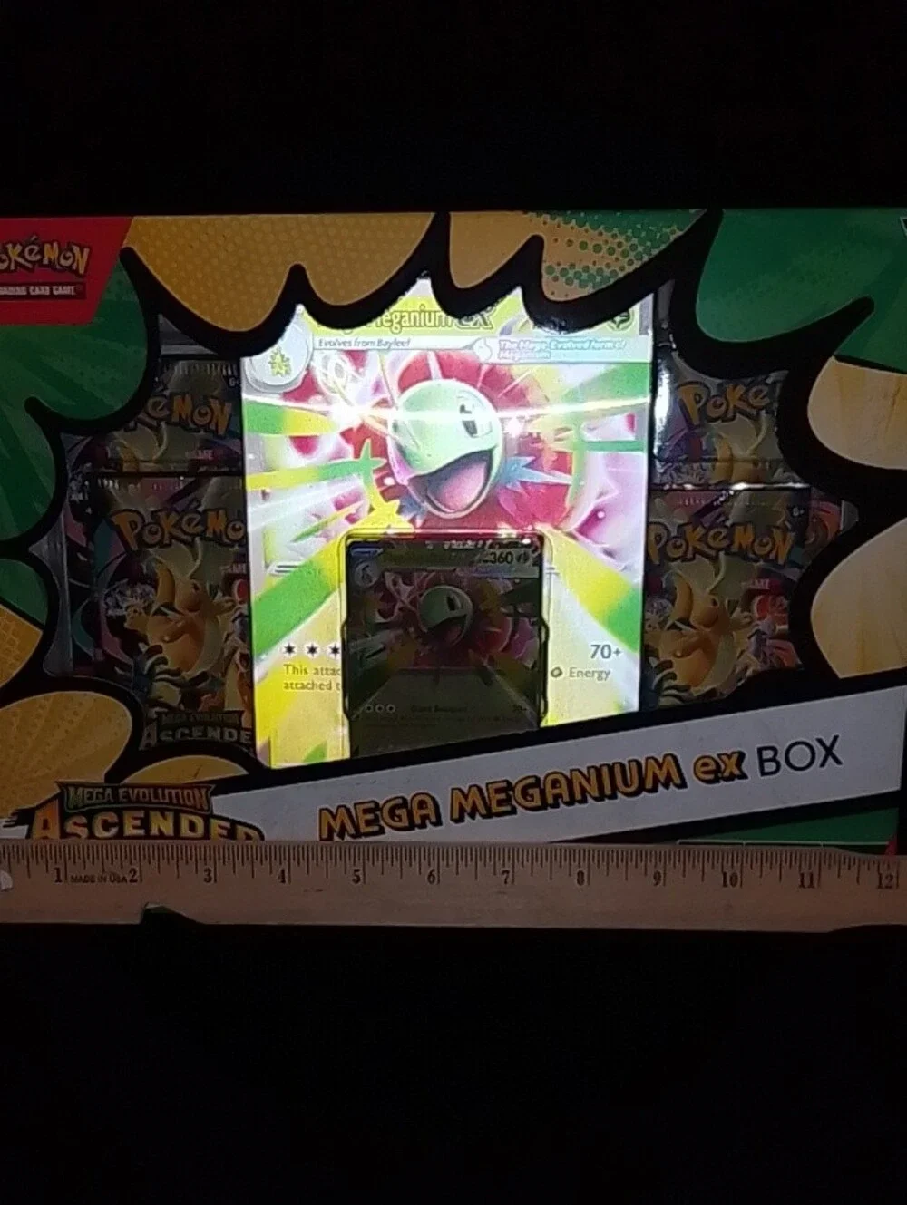 New Pokemon Meganium ex Box - Green